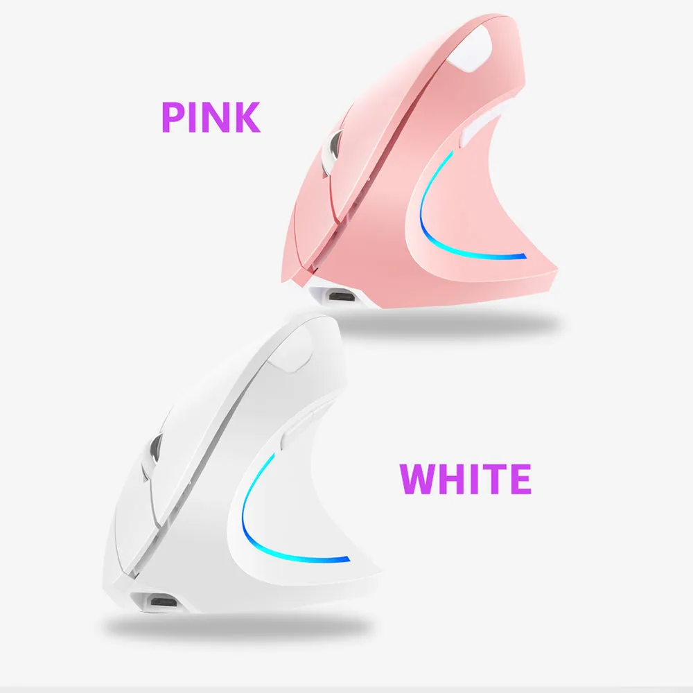 2.4G Wireless Vertical Mouse Rechargeable