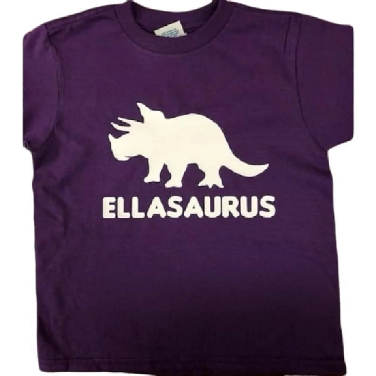 personalized custom dinosaur boys kids youth shirt toddler triceratops tshirt tees