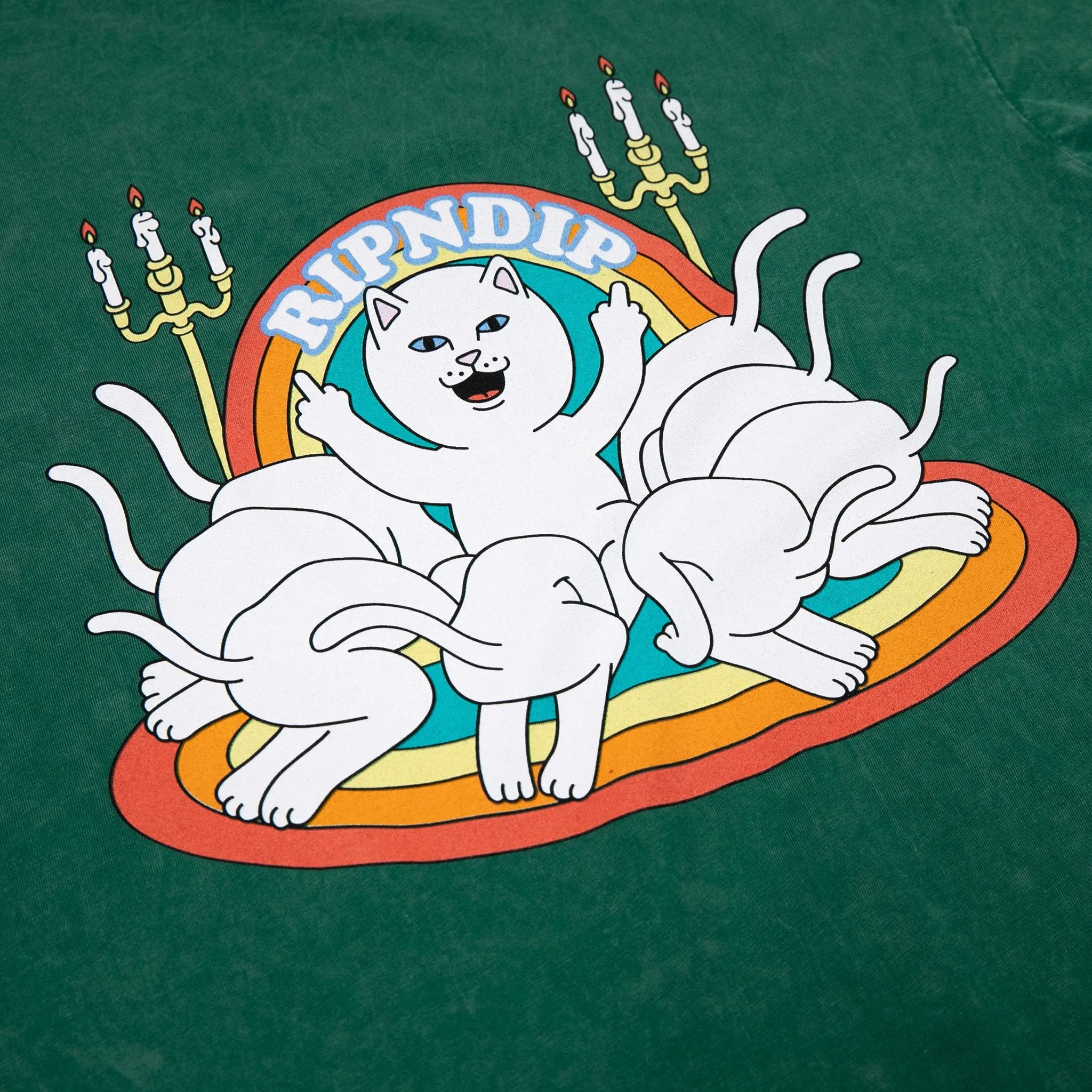 Praise Tee (Hunter Mineral Wash)