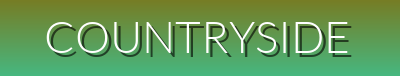 French Country Essentials | Affordable Rustic Elegance | Quality European Pastoral